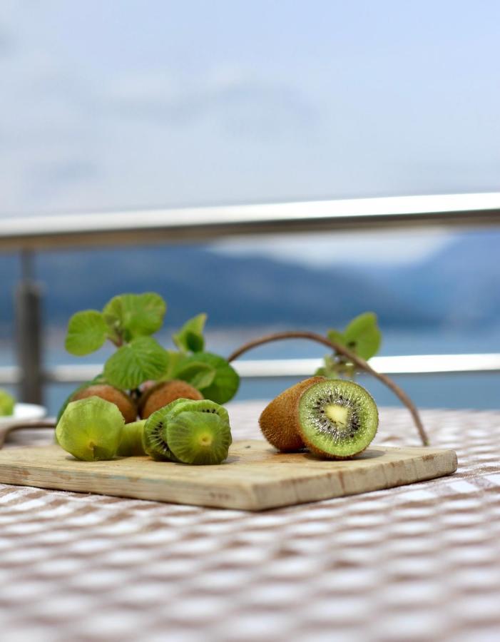 Apartment 365 Tivat Zewnętrze zdjęcie