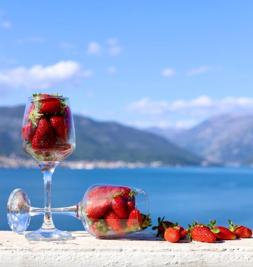 Apartment 365 Tivat Zewnętrze zdjęcie