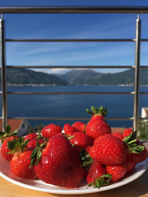 Apartment 365 Tivat Zewnętrze zdjęcie